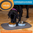 Master Pet Supply Stainless Steel Dog Bowls - 25 oz, Heavy Duty - Mango Tango, Double Wall Extra-Thick Insulated, Non-Slip Pet Water Bowl for Dogs, Cats & Pets, Anti Rust Metal, Dish Washer Safe