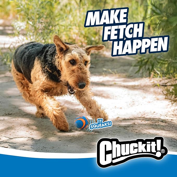Chuckit! Ultra Squeaker Balls for Dogs, Floating Water Pet Toys, Durable Rubber Pet Toy, Bouncy Squeaky Fetch Balls For Dogs, Pack of 2, Medium (2.5")