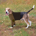 Lelepet Dog Recovery Sleeve for Wounds Front Legs, Stop Licking Dog Shirt | Elbow Protector for Leg Injuries Shoulder Wounds After Surgery Male Female,Zippered Long-Sleeved Shirt Cone Alternative S-3XL