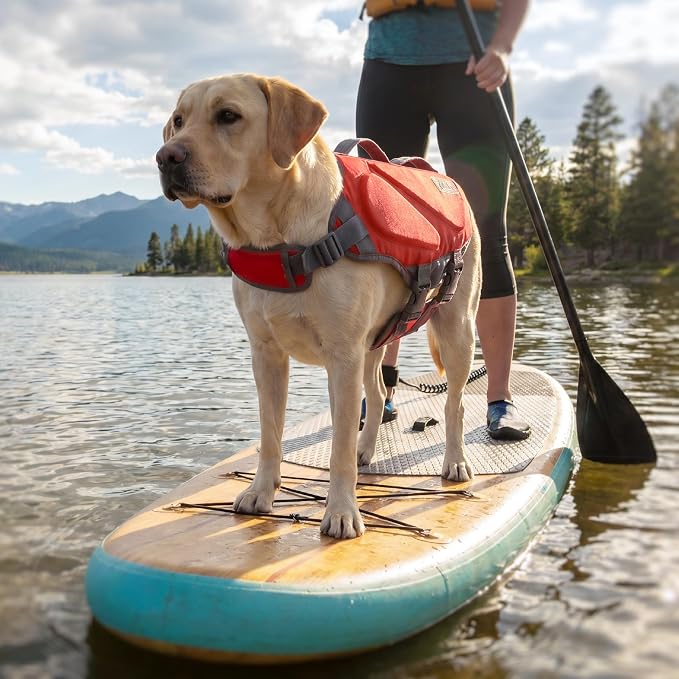 Outward Hound Dawson Swim Red Dog Life Jacket, Large