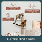 Cat Climbing Wall System – Modern Floating Shelves & Perches for Cats - Sunrise Steps | Ascentials by FurHaven