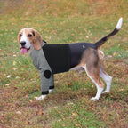 Lelepet Dog Recovery Suit for Front Legs, Dog Sleeve to Stop Licking Black | Elbow Protector for Leg Injuries Shoulder Wounds After Surgery Male Female,Zippered Long-Sleeved Shirt Cone Alternative S-3XL
