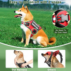Service Dog Vest Harness and Leash Set+10 Patches,No Pull&Adjustable Reflective Dog Harness with Soft Padded Handle for Training/Everyday,Fit Small/Medium/Large/Extra-Large Dogs (Red S) | Adjustable Reflective Service Dog Harness Small Sized,Dog Leash ...