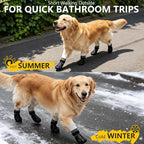 EXPAWLORER Non-Slip Dog Socks for Hardwood Floors to Prevent Licking, Dog Shoes for Hot Pavement Quick Walking, Dog Booties Boots & Paw Protectors with Grippers for Small Medium Large Senior Dogs XS