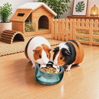 Felli Oblik 15° Tilted Small Animal Bowls for Pet Food & Water 6 oz Stainless Steel Dish Removable, Slanted Metal Plate Feeder for Kitten Puppy Rabbit Bunny Guinchilla Pig (0.75 Cups, Classic)