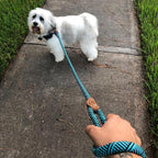 Mile High Life Dog Leash with Genuine Leather Connection, 6 FT/5 FT/4 FT | Rope Leash, Heavy Duty 360° Swivel Metal Clasp, for Small Medium & Large Dogs (Green, 48 Inch)