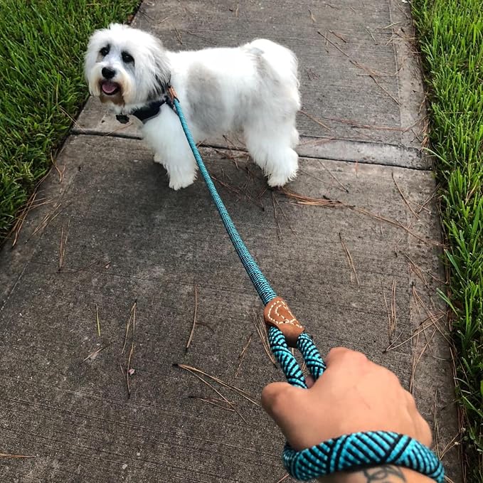 Mile High Life Dog Leash with Genuine Leather Connection, 6 FT/5 FT/4 FT | Rope Leash, Heavy Duty 360° Swivel Metal Clasp, for Small Medium & Large Dogs (Green, 48 Inch)