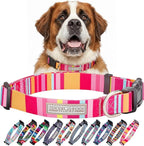 Lucky Love Dog - Adjustable Dog Collar with Easy Click Buckle for Large Ones, Durable, & Comfortable for Male & Female Dogs, Pet Collar for Puppies & Adult Dogs - Molly, XL