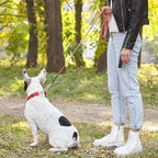 Dogline Biothane Waterproof Dog Leash Strong Coated Nylon Webbing with Black Hardware Odor-Proof Easy to Clean High Performance for Small or Large Dogs Made in USA 2 ft Lead, Coral
