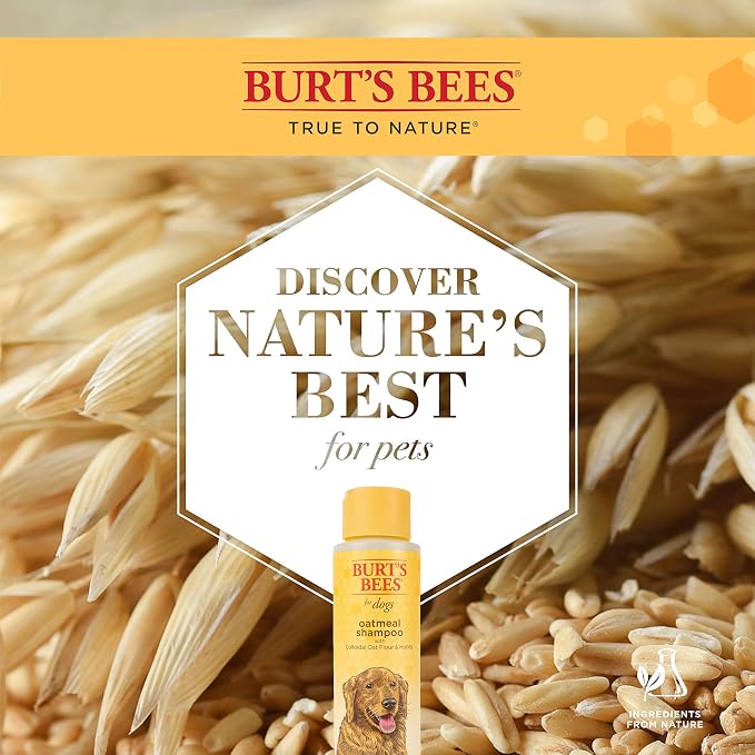 Burt's Bees for Dogs Natural Oatmeal Dog Shampoo | With Colloidal Oat Flour & Honey | Cruelty Free, Sulfate & Paraben Free, pH Balanced for Dogs - Made in USA, 16 Oz - Pack of 6