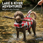 ASENKU Dog Life Jacket - Pet Safety Vest for Swimming & Boating, Shark Life Jacket with Floatation, Dog Lifesavers Swimsuits for Small Medium Large Dogs (Strawberry, M)