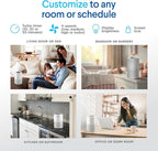 Clorox Small Room Turbo Air Purifiers for Home With True HEPA Filter | 613 Sq Ft | Reduces 99.9% of Mold, Viruses, Wildfire Smoke, Allergens, Pet Allergies, Dust | Whisper Quiet