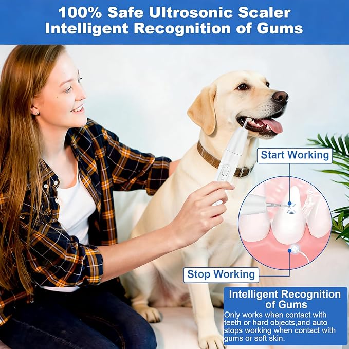 Dog Teeth Cleaning Kit,Dogs Tooth Brushing Kit with Light,3 Modes Doggie Toothbrush (Cloud White)