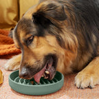 Slow Feeder Dog Bowls - Medium Size Silicone Slow Eating Dog Bowl for Puppies & Dogs with Suction Cup -Dishwasher-Safe, Lick Mat Design, Reduces Gulping,for All Breeds,7.5”x1.5”- Spruce