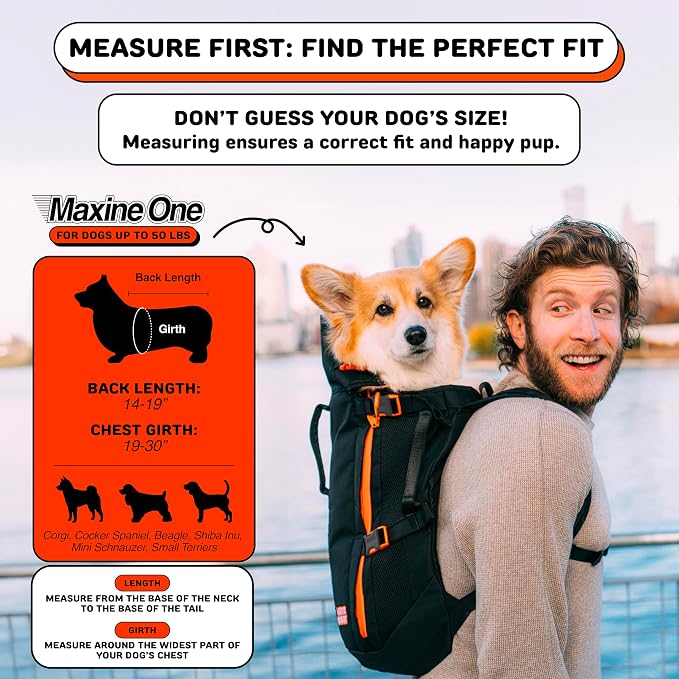 Little Chonk Maxine One Dog Backpack Carrier for Medium Dogs (Gray) | Adjustable & Ergonomic Pet Carrier, Built to be Safer, Hands Free Travel & Hiking, Front Facing, Featured in Wired Magazine