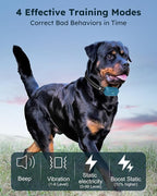 Dog Shock Collar 2 Dogs - 4200FT Dog Training Collars with Remote, IPX8 Waterproof E-Collar for Dogs Training Rechargeable e-Collars for Large Medium Small Dogs (10-120lbs)