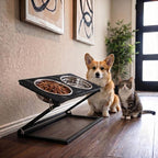 Elevated Dog Bowl, Adjustable Height and Tilt Angle Dog Bowl Stand | Precisely Adjust Height And Tilt Angle, Easy To Clean, Equipped With 2 Stainless Steel Food Bowls, Sturdy And Durable.