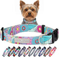 Lucky Love Dog Collars, Cute X-Small Dog Collars for Female Dogs, Part of Purchase Donated to Rescue, Caroline, Extra Small