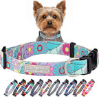 Lucky Love Dog Collars, Cute X-Small Dog Collars for Female Dogs, Part of Purchase Donated to Rescue, Caroline, Extra Small