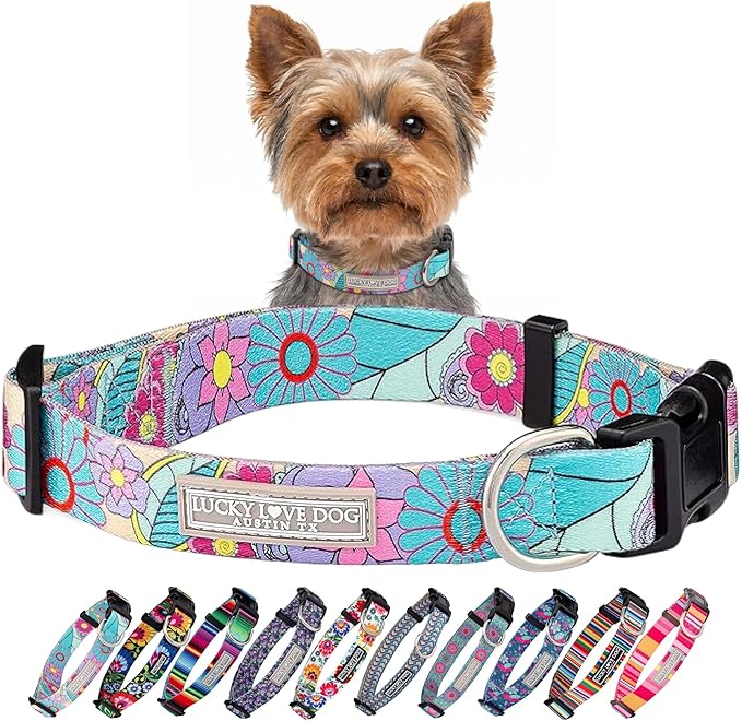 Lucky Love Dog Collars, Cute X-Small Dog Collars for Female Dogs, Part of Purchase Donated to Rescue, Caroline, Extra Small