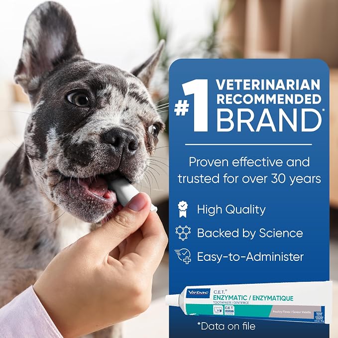 C.E.T. Enzymatic Toothpaste for Dogs and Cats, Beef, 2.5oz | Plaque and tartar control for fresh breath, pet dental care toothpaste, Dual enzyme system, beef flavored toothpaste