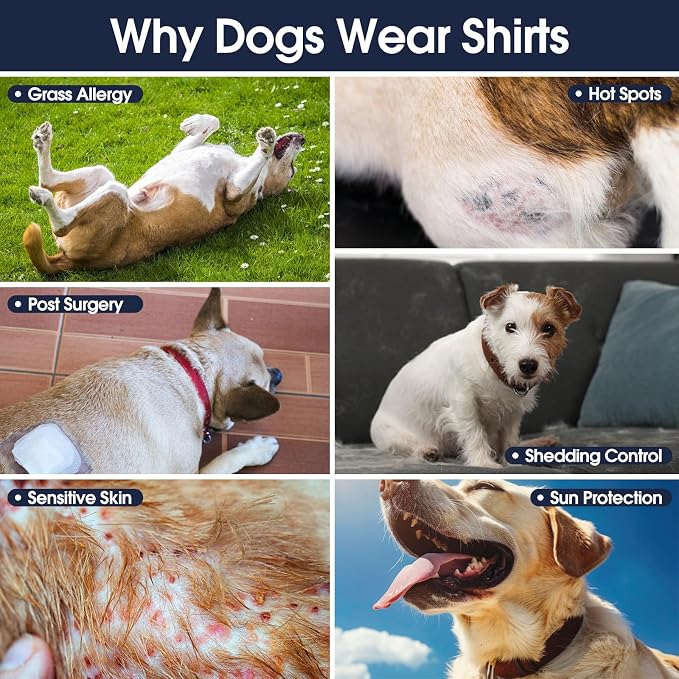 IECOii 2 Pack Dog Surgery Recovery Shirt Sleeveless Lightweight Dog Tshirt | T-Shirts with Stretch Fit,Gentle on Sensitive Skin,Anti-licking for Hot Spots,Shedding Control Tee,For Small to Giant Dogs