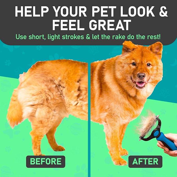 Maxpower Planet Dog Rake and Brush Set for Shedding, Undercoat & Mats | Deshedding Tool, Detangling, Self-Cleaning Design, Medium & Long Hair, For Cats Too, Gentle Grooming