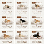 Comfort Expression Orthopedic Dog Bed for Extra Large Dogs with Bolster | Waterproof Dog Couch Bed with Washable Cover & Non-Slip Bottom, Supportive Egg Crate Foam XL Pet Bed, 45x35 Inch
