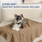 gogobunny Pet Blanket for Dogs Cats, 300GSM Ultra Soft Coral Fleece Blanket, Washable Small Dog Cat Blanket, Calming Crate Mat, Furniture Protector for Couch Bed Car Seat, Brown, 30x40IN