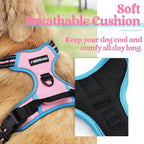 rabbitgoo Dog Harness, No Pull for Small Dogs with 2 Leash Clips, Pet Vest | No Choke with Handle, Adjustable Soft Padded, Reflective, Easy Control for Walking, Pink & Blue, Small