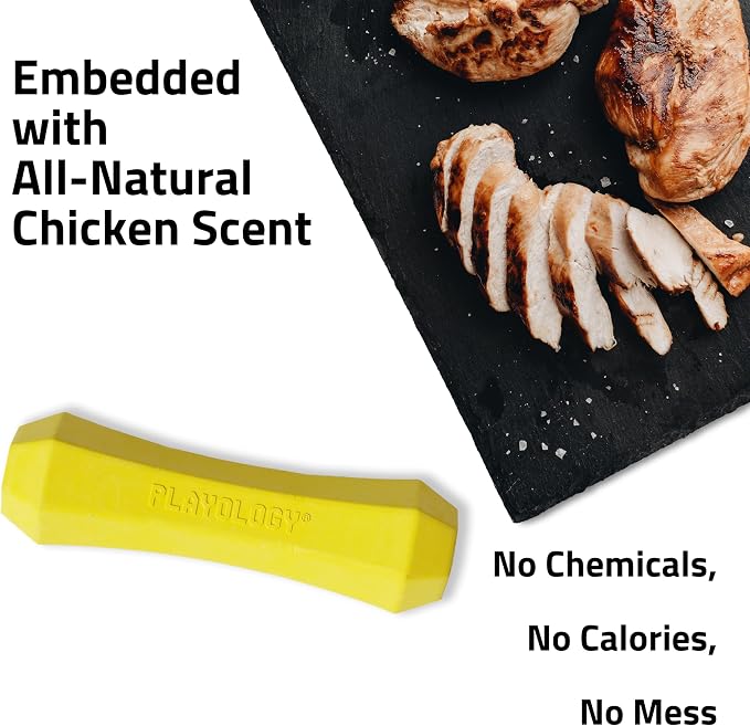 Playology Dog Toys | Squeaky Chew Stick for Dogs, Value 2-Pack | Chicken Scented Medium Fetch Toy | Squeaky Dog Chew Toy