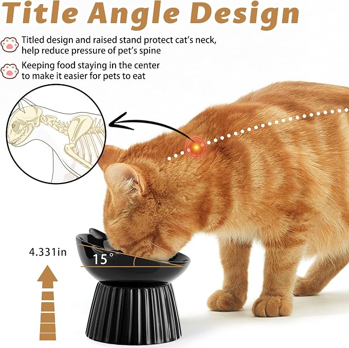 Ceramic Raised Cat Bowl，Tilted Raised Bowl Anti Vomit for Indoor Cats Whisker Friendly Pet Feeder for Cats Puppies, Microwave and Dishwasher Safe (Black)