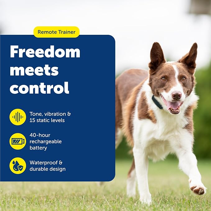 PetSafe 100 Yard Remote Trainer, Rechargeable, Waterproof, Tone / Vibration / 15 Levels of Static Stimulation for dogs over 8 lb. | 100-Yard Range, for Dogs over 8 Lb, Tone/Vibration/15 Static Levels, Waterproof, 40-Hr Battery, 2-Hr Charge