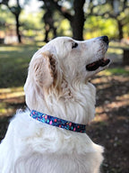 Lucky Love Dog - Adjustable Collar and Leash Set with Easy Click Buckle for Large Dogs, Durable, & Comfortable Collar for Male & Female Dogs, Puppies & Adult - Sweet Holiday Combo, Large