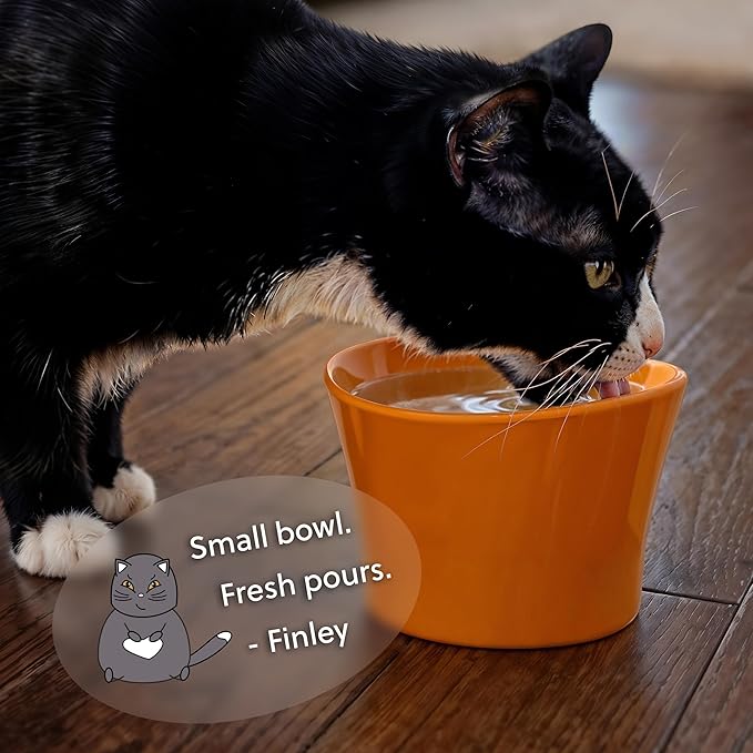 Elevated Cat Bowls for Water – Whisker & Neck Fatigue Shallow Cat Dishes – Raised Bowl for Indoor Cats – Vet-Recommended Height, Food-Grade Melamine – Non-Slip & Dishwasher-Safe – 8 oz Orange