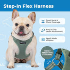 Voyager Step-in Flex Adjustable Dog Harness - Moss Green, Small | 15 - 18" in Chest, Fully Adjustable, Reflective Bands, All Weather Breathable Air Mesh, Lightweight, Fast Drying