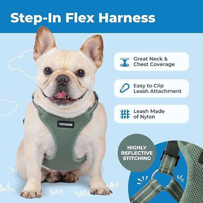 Voyager Step-in Flex Adjustable Dog Harness - Moss Green, Small | 15 - 18" in Chest, Fully Adjustable, Reflective Bands, All Weather Breathable Air Mesh, Lightweight, Fast Drying