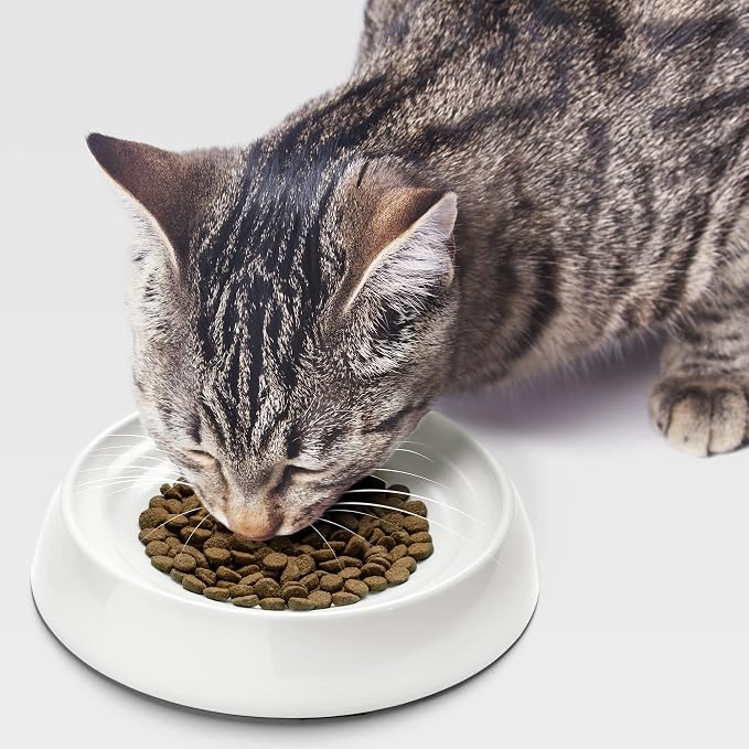 CatGuru Cat Bowls, Whisker Friendly Food Bowl for Indoor Cats, Reliefs Whisker Fatigue, Wide Kitten Dish, Non Slip Pet Dishes, Shallow Pet Plates (Marshmallow, (Pack of 2))