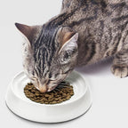 CatGuru Cat Bowls, Whisker Friendly Food Bowl for Indoor Cats, Reliefs Whisker Fatigue, Wide Kitten Dish, Non Slip Pet Dishes, Shallow Pet Plates (Marshmallow, (Pack of 2))