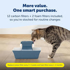PetSafe Drinkwell Pagoda Ceramic Fountain, 70 oz, 2 Streams, Extra Filters | 2 Falling Water Streams Encourage Hydration, Cat & Small Dog Water Fountain, 4-Pack Carbon Filters and 2-Pack Foam Filters