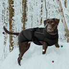 IECOii Extra Warm Coat - Adjustable Dog Jacket Winter Coat with Buckle & Fleece Turtleneck for Small to Extra Large Dogs