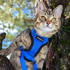rabbitgoo Cat Harness and Leash Set, Escape Proof Vest, Navy Blue | Soft Breathable Mesh, Easy Adjustable Fit, Snap Buckles, Sturdy Clip, Reflective Strips, for Small & Average Cats Walks, Xs