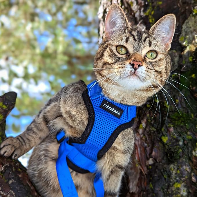 rabbitgoo Cat Harness and Leash Set, Escape Proof Vest, Navy Blue | Soft Breathable Mesh, Easy Adjustable Fit, Snap Buckles, Sturdy Clip, Reflective Strips, for Average Cats Walks, S