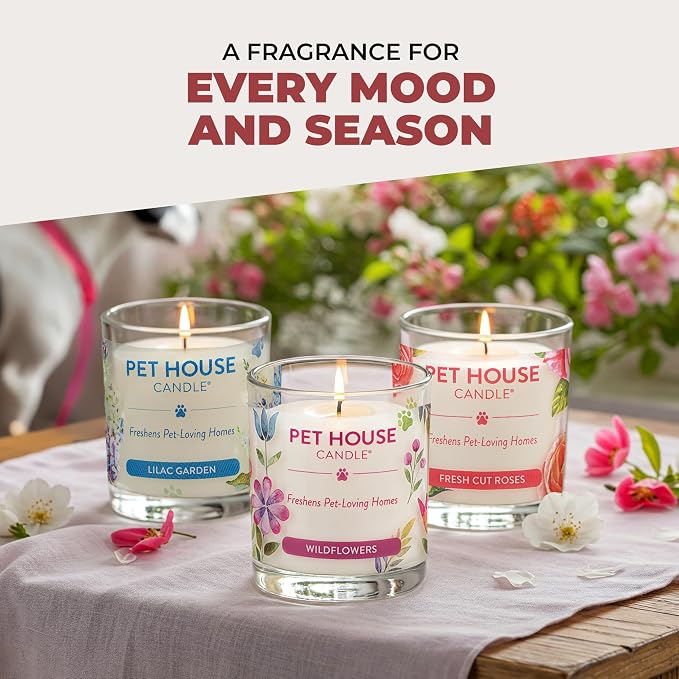 Pet House Candle 2 Pack - Plant-Based/Soy - Clean Burning Scented, Long Lasting Pet Odor Candle for Home - Elderberry Jam