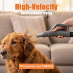 NEWBULIG Dog Hair Dryer with Heater for Grooming, Grey | 1550W High Velocity Speed Temperature Adjustable Pet Blow Dryer with 4 Nozzles