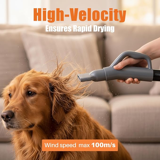 NEWBULIG Dog Hair Dryer with Heater for Grooming, Grey | 1550W High Velocity Speed Temperature Adjustable Pet Blow Dryer with 4 Nozzles
