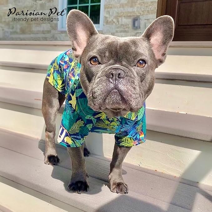 Parisian Pet Amazonia Dog Shirt - Cotton Clothes for Medium Dogs - Stylish Tropical Dog Outfit - Lightweight and Soft Puppy Clothes - Trendy Tshirts for Dogs - Comfortable Summer Pet Apparel