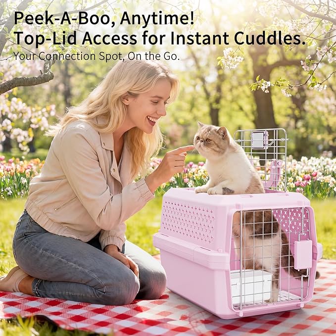 RIZZARI XS Pet Carrier for Small Cats & Dogs, Hard-Sided Travel Crate | Fits Pets Up to 10 lbs,Compact Travel Size,Secure Locking Door,Fresh Air Ventilation,Includes Food Bowl,Great for Vet Visits