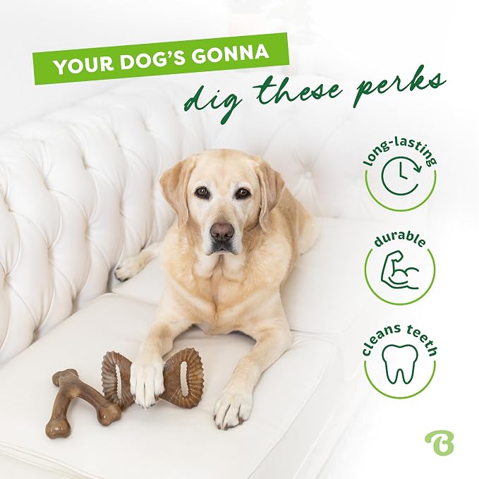 Benebone 2-pack Wishbone/Dental Durable Dog Chew Toys, Real Bacon, Medium