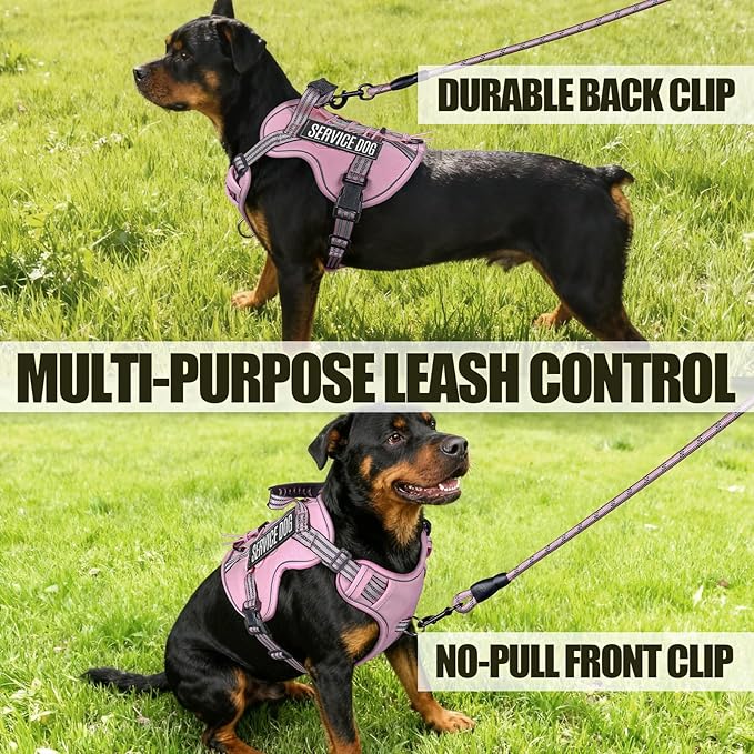Service Dog Tactical Vest Harness and Leash Set Large Sized Dog Emotional Support- Tactical Dog Harness Training Collar with Name (Pink, L)
